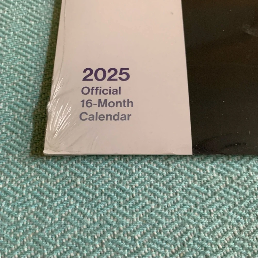 NEW Taylor Swift Official 2025 Calendar
